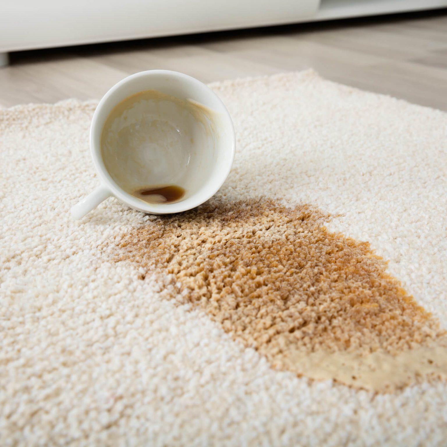 Coffee spilled on an area rug | Flooring Direct