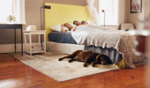 pet-friendly-floors-flooring-options-DFW-area-discount-floor-materials-installation-remodel-renovation-water-resistant