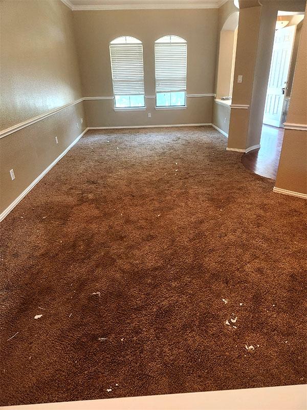 Carpet Installation Before Family Room